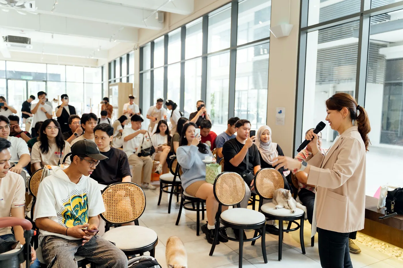 Fancy Feast Cat Café Takeover — photo 5