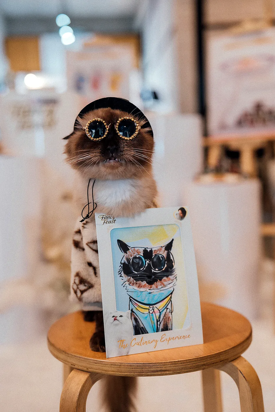 Fancy Feast Cat Café Takeover — photo 7